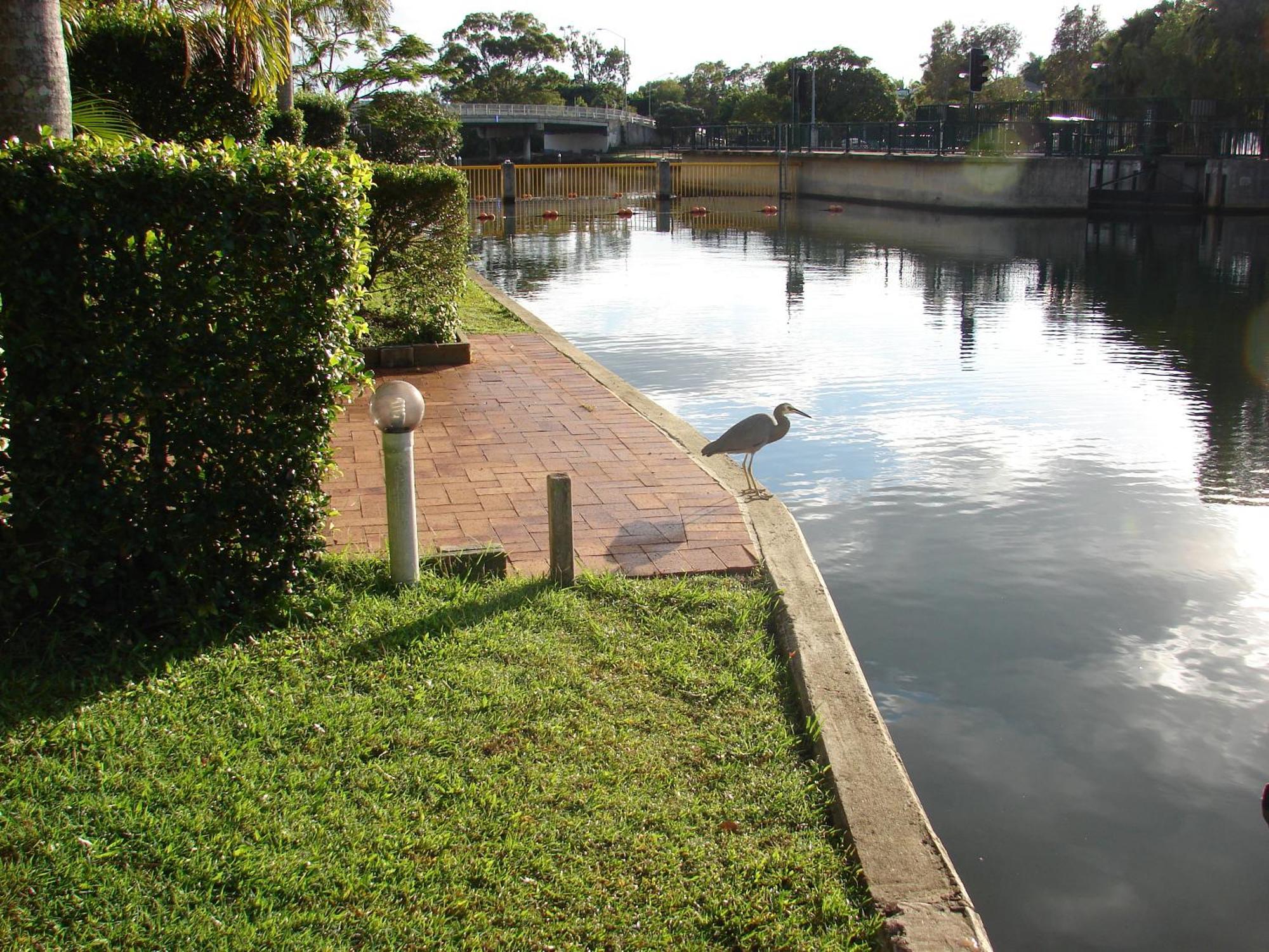 Portside Noosa Waters Hotel Noosaville Eksteriør billede
